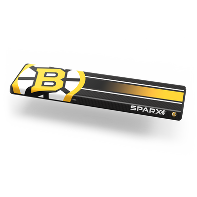 NHL Custom Overlay - Boston Bruins img
