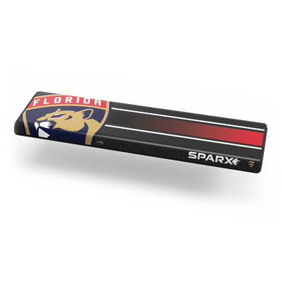 NHL Custom Overlay - Florida Panthers img